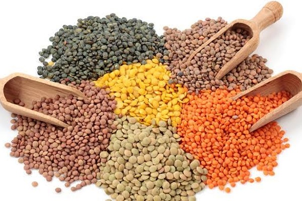 সুস্থতার সহায়ক ডাল